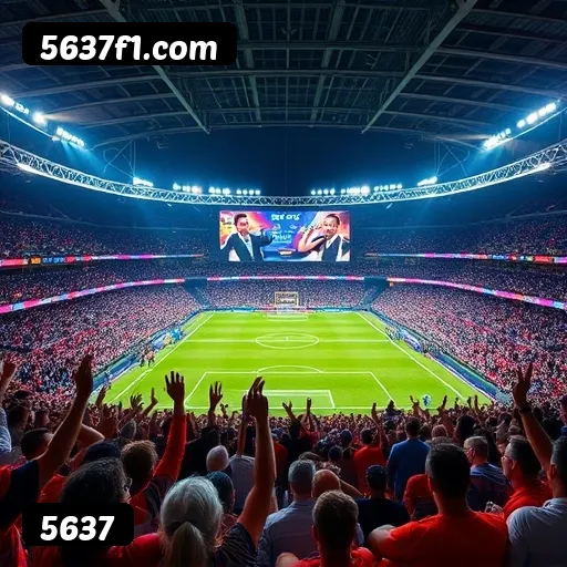 Termos e Condições Transparentes 5637